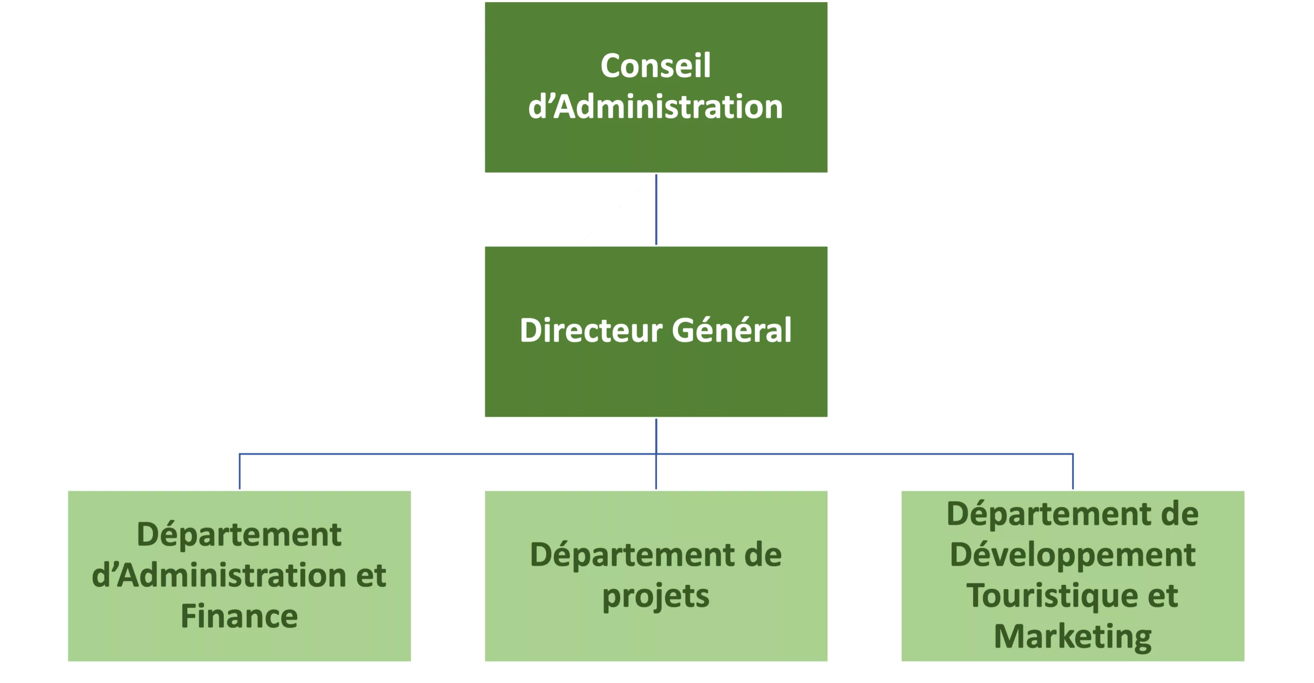 Organigramme