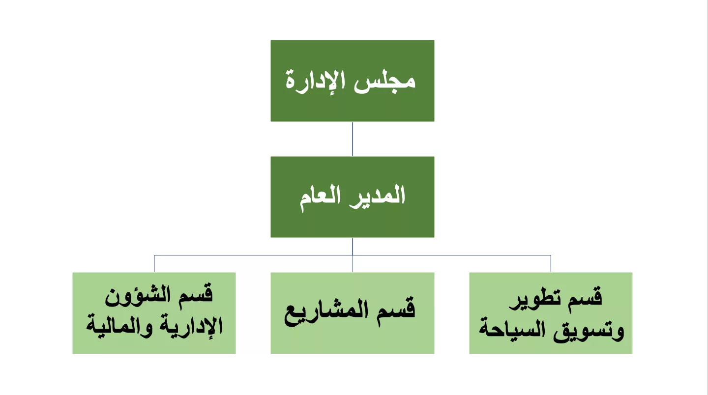 الهيكل التنظيمي